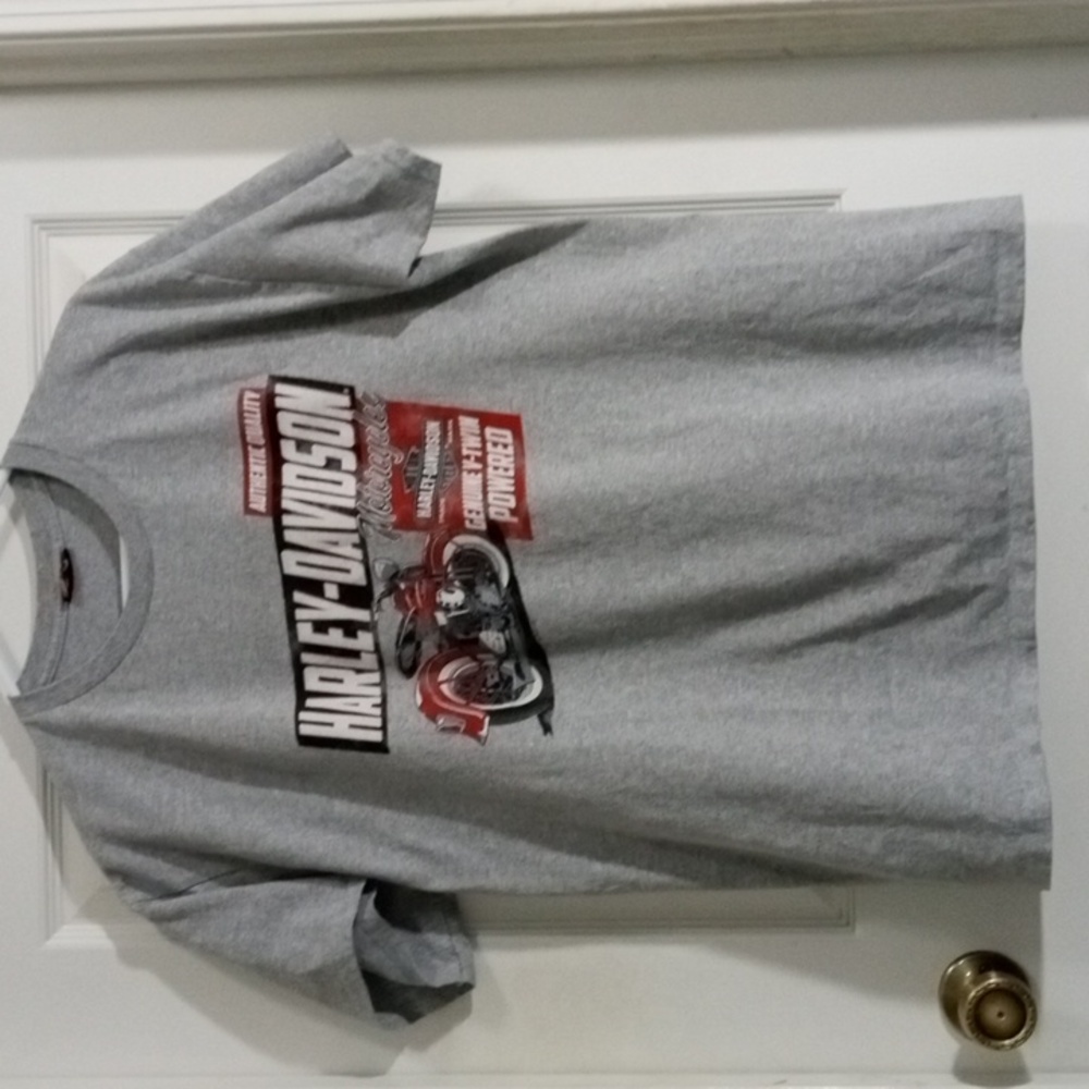 Harley-Davidson V-Twin Powered Gray Short Sleeve Tee Shirt Mens Large - Picture 2 of 6